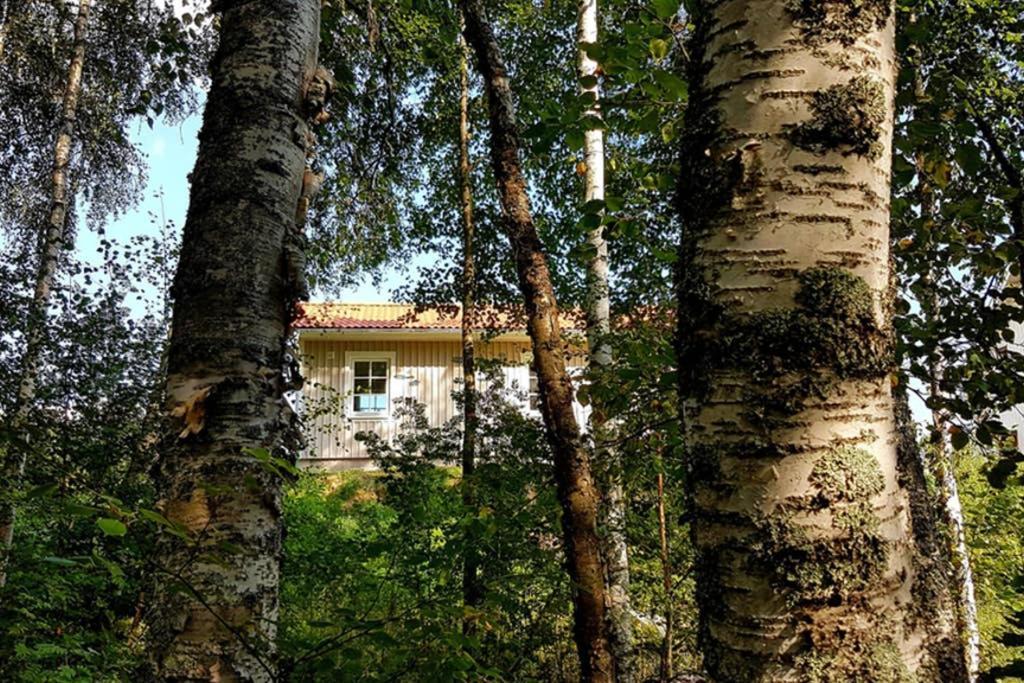 Nybyggd Stuga Intill Skogsbrynet - New Built Cottage Next To The Cowberry Forest 莫拉 外观 照片