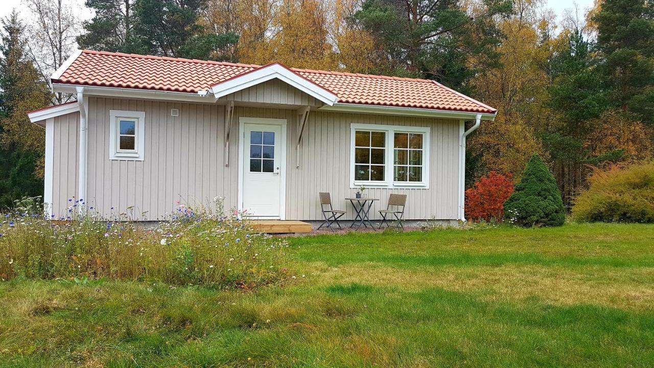 Nybyggd Stuga Intill Skogsbrynet - New Built Cottage Next To The Cowberry Forest 莫拉 外观 照片